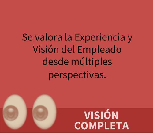 VISIÓN COMPLETA. Se valora la Experiencia y Visión del Empleado desde múltiples perspectivas.
